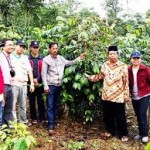 Bungkesmas Sasar Petani Kopi di Bantaeng