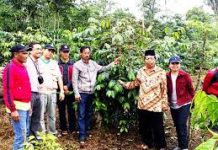 Bungkesmas Sasar Petani Kopi di Bantaeng