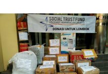 Bersama STF Mari Berdonasi untuk Lombok