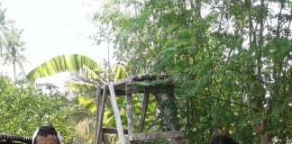 STF UIN Jakarta Bersama KSP Budi Luhur Buatkan Sumur Bor Air untuk Korban Tsunami