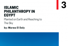 Islamic Philanthropy in Egypt: Planted on Earth and Reaching to The Sky
