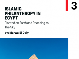 Islamic Philanthropy in Egypt: Planted on Earth and Reaching to The Sky