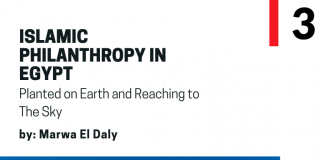 Islamic Philanthropy in Egypt: Planted on Earth and Reaching to The Sky