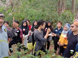 Pelajari Manfaat Hutan Inti dari Acara Food from Forest