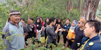 Pelajari Manfaat Hutan Inti dari Acara Food from Forest