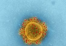 4 Varian Coronavirus Penyebab Terjadinya COVID-19