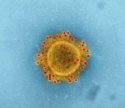 4 Varian Coronavirus Penyebab Terjadinya COVID-19