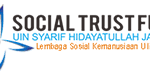 logo stf