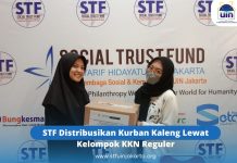 STF Distribusikan Kurban Kaleng Lewat Kelompok KKN Reguler
