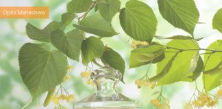 Kebaikan Dimulai dari Sekarang